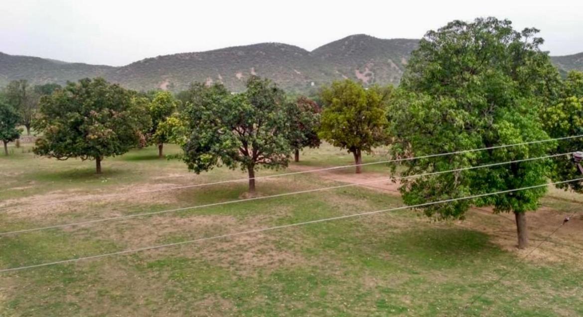 Green Vatika Farm Divisione di Divisione di Jaipur Esterno foto